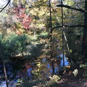 Meet your Posher, Betsy